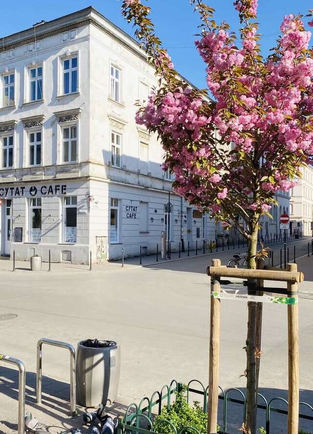 Апартаменты Faust Apartments in the Heart of Kazimierz Краков-28